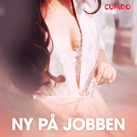 Ny på jobben – erotiske noveller (ljudbok) av C