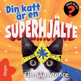 Din katt är en superhjälte (ljudbok) av Ellen L