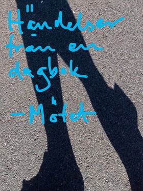 Händelser från en dagbok: Mötet (e-bok) av Linn