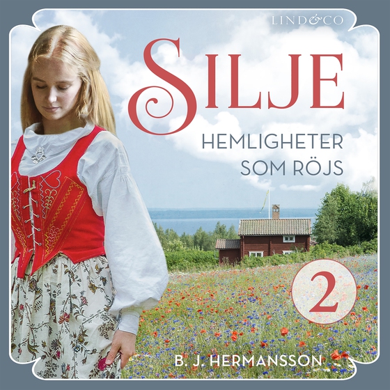 Hemligheter som röjs (ljudbok) av B. J. Hermansson