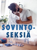 Sovintoseksiä – eroottinen novelli