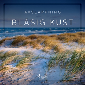 Avslappning - Blåsig kust (ljudbok) av Rasmus B