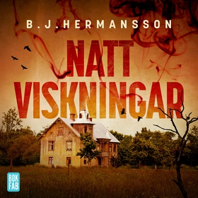 Nattviskningar (ljudbok) av B. J. Hermansson