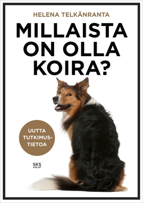 Millaista on olla koira? (e-bok) av Helena Telk