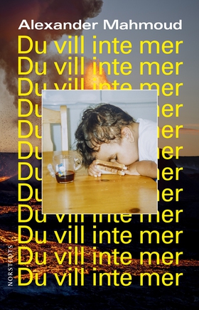 Du vill inte mer (e-bok) av Alexander Mahmoud