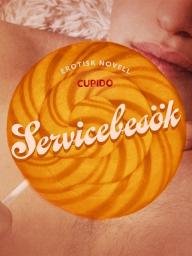 Servicebesök - erotisk novell (e-bok) av Cupido