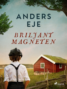 Briljantmagneten (e-bok) av Anders Eje