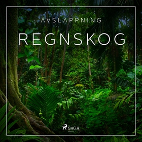 Avslappning - Regnskog (ljudbok) av Rasmus Broe