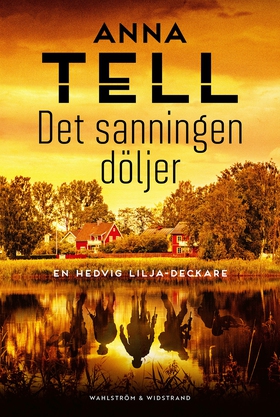 Det sanningen döljer (e-bok) av Anna Tell