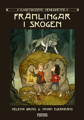 Främlingar i skogen (e-bok) av Helena Bross