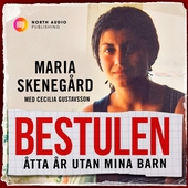 Bestulen - 8 år utan mina barn