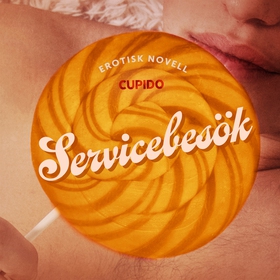 Servicebesök - erotisk novell (ljudbok) av Cupi