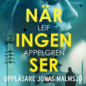 När ingen ser (ljudbok) av Leif Appelgren