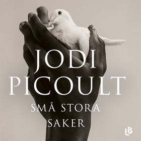 Små stora saker (ljudbok) av Jodi Picoult