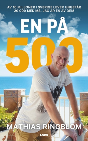 En på 500 (e-bok) av Mathias Ringblom