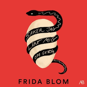 Saker jag lärt mig om sorg (ljudbok) av Frida B