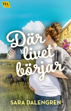 Där livet börjar (e-bok) av Sara Dalengren