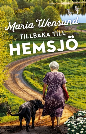 Tillbaka till Hemsjö (e-bok) av Maria Wensund