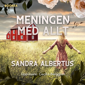 Meningen med allt (ljudbok) av Sandra Albertus