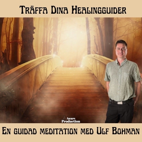 Träffa dina healingguider (ljudbok) av Ulf Bohm
