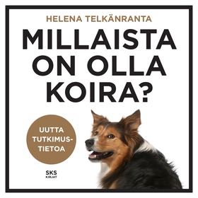 Millaista on olla koira? (ljudbok) av Helena Te