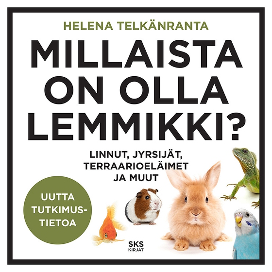 Millaista on olla lemmikki?