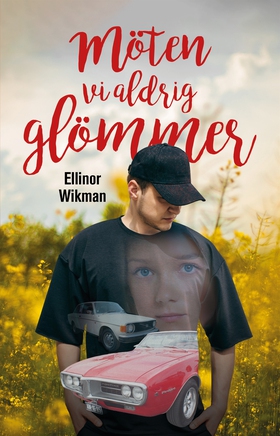 Möten vi aldrig glömmer (e-bok) av Ellinor Wikm