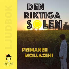 Den riktiga solen (ljudbok) av Peimaneh Mollaze