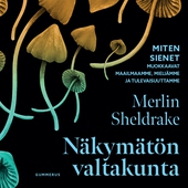 Näkymätön valtakunta