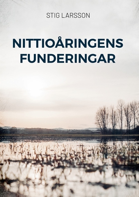 Nittioåringens funderingar (e-bok) av Stig Lars