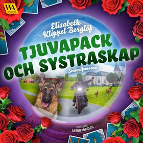 Tjuvapack och systraskap (ljudbok) av Elisabeth