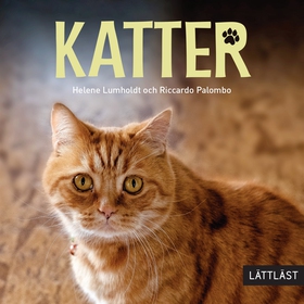 Katter (lättläst) (ljudbok) av Helene Lumholdt