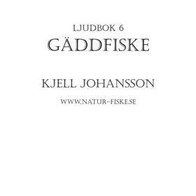 Gäddfiske (ljudbok) av Kjell Johansson