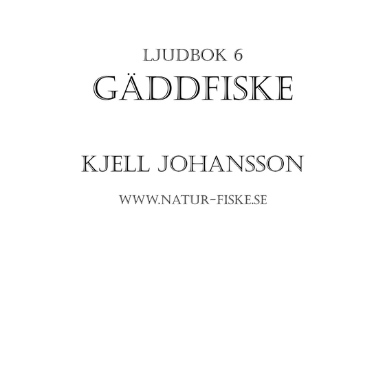 Gäddfiske