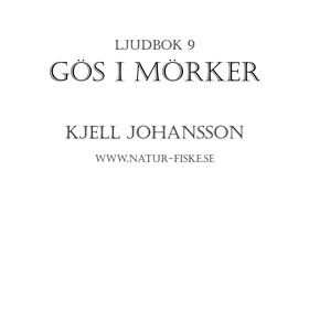 Gös i Mörker (ljudbok) av Kjell Johansson