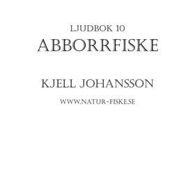 Abborrfiske (ljudbok) av Kjell Johansson