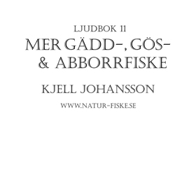 Mer Gädd, Gös och Abborrfiske (ljudbok) av Kjel