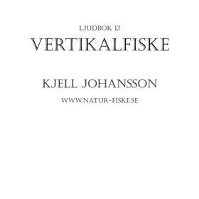 Vertikalfiske (ljudbok) av Kjell Johansson