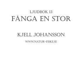 Fånga en Stor (ljudbok) av Kjell Johansson