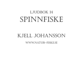 Spinnfiske (ljudbok) av Kjell Johansson