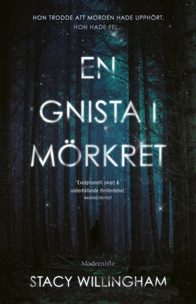 En gnista i mörkret (e-bok) av Stacy Willingham