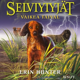 Selviytyjät: Vaikea taival (ljudbok) av Erin Hu