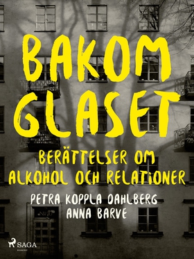 Bakom glaset : berättelser om alkohol och relat