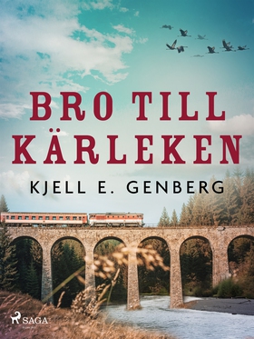 Bro till kärleken (e-bok) av Kjell E. Genberg