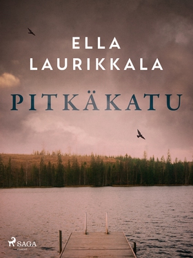 Pitkäkatu (e-bok) av Ella Laurikkala