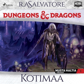 Dungeons &amp; Dragons – Drizztin legenda: Koti