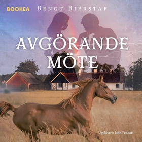 Avgörande möte (ljudbok) av Bengt Bjerstaf