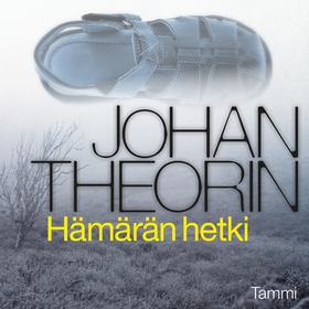 Hämärän hetki (ljudbok) av Johan Theorin