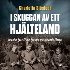 I skuggan av ett hjälteland (ljudbok) av Charlo