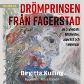Drömprinsen från Fagerstad: en psykopats tillblivelse, uppväxt och härjningar